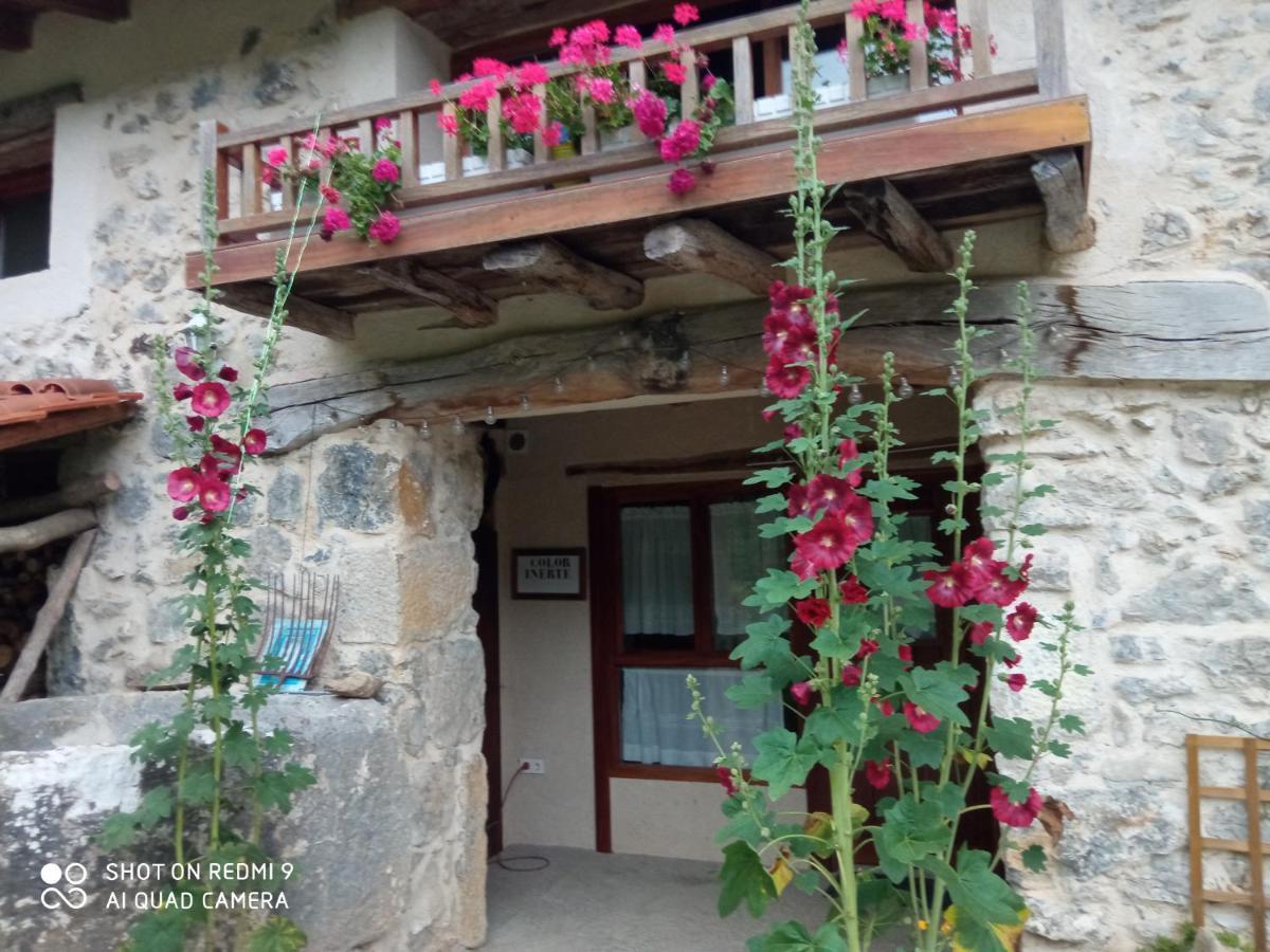 Belaustegi Turismo Rural Ispáster エクステリア 写真